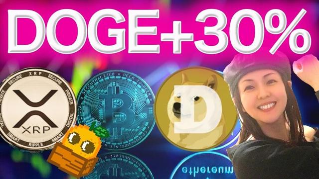XRP 2029年に5000ドル行くか DOGEクジラが爆買い ゴールデンクロス