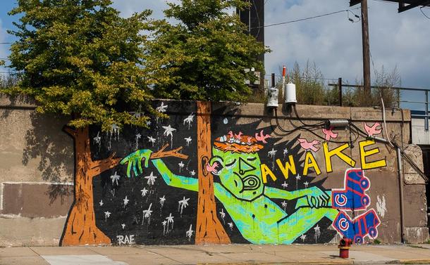 A large mural on the wall of a railroad track embankment. Two tree trunks with starts in between reach up to meet with actual bushes growing next to the tracks. A green-skinned figure is hanging from one of the branches with the word "AWAKE" coming out of their mouth. On the head of the figure is a birds nest with several birds flying out and away. The figure is wearing roller skates with the Chicago Cubs baseball team logo and colors.