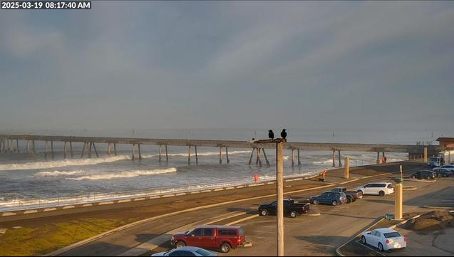 A view of the Pacifica pier, with two crows on top of a utility pole