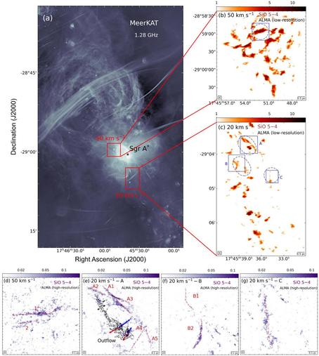 This image corresponds to Figure 1 in the paper.

The image is divided into multiple panels labeled (a) through (g):
Panel (a) shows the now classical large-scale MeerKAT radio observation at 1.28 GHz of the galactic center, rotated to better align with other panels. The galactic center sureoundings appear as a cloudy, filamentary structures with brighter regions and darker spots. Sgr A* (our galaxy’s black hole) is labeled with a star symbol.

Two red boxes highlight regions with different velocity components (50 km s⁻¹ and 20 km s⁻¹).

Panels (b) and (c) are zoomed-in views of these velocity components showing SiO 5-4 transition observations from ALMA (Atacama Large Millimeter/submillimeter Array) at low resolution. These panels show filament-like structures. Panel (b) shows the 50 km s⁻¹ component, while panel, with an outline indicating where the ALMA observation was made. Panel (c) shows the 20 km s⁻¹ component with three regions labeled A, B, and C indicating additional ALMA observations.

Panel (d) corresponds to the ALMA observation outlined in panel (b). Panels (e) to (g) corresponds to regions A to C in panel (c). Those panels show many filaments with coherent speeds, sometimes perpendicular to other flows.