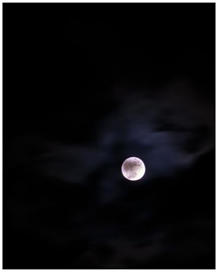 Photo of the full moon lighted
