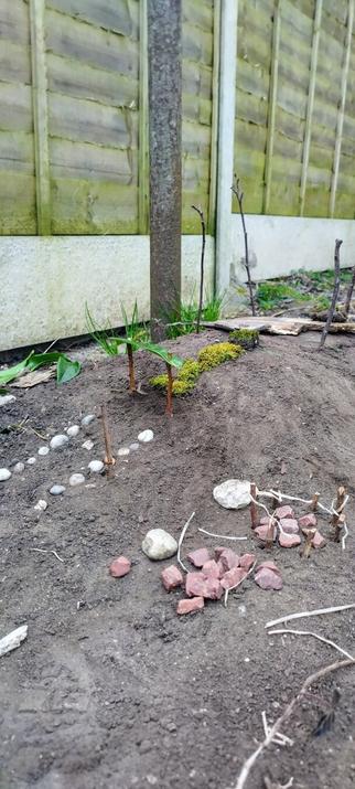 A mound of soil / dirt, with sticks and pebbles arranged on the top - it's a bug hotel.