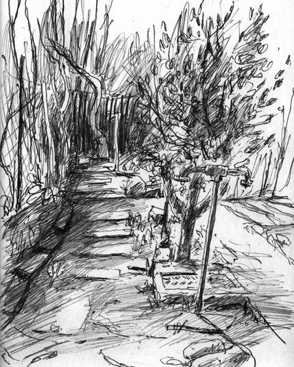 A garden