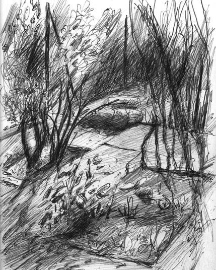 A garden