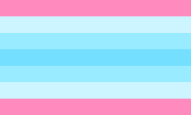 Drapeau transmasc