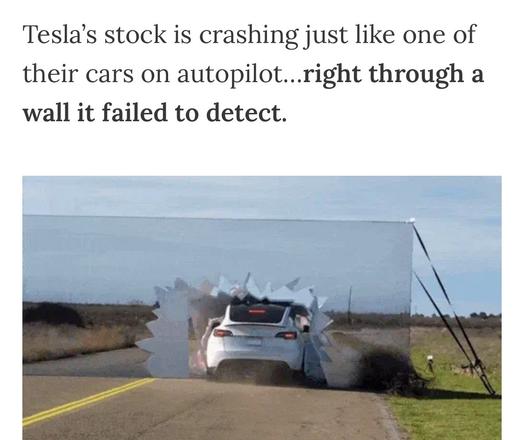 Tesla's stock is crashing just like the one of their cars through on the autopilot right through a wallet failed to detect