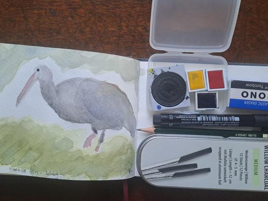 A small watercolour painting of an ibis, with a small set of watercolours (black, red, yellow, and blue) a pencil, rubber, pen, and some charcoals.