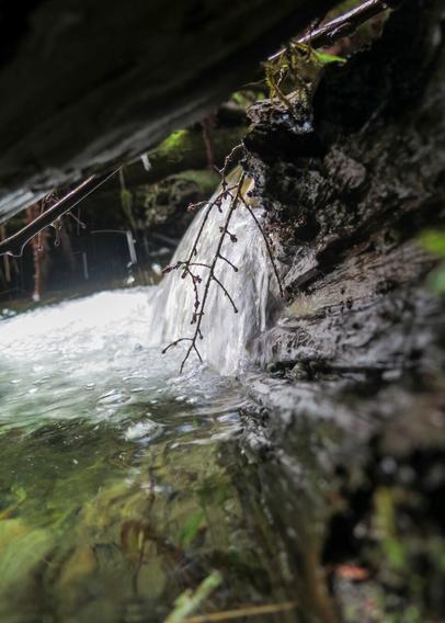 This image shows a small waterfall or stream flowing over rocks, with clear water and some vegetation, including small branches, visible near the water's edge. The perspective is close to the water level, creating a natural and serene scene.