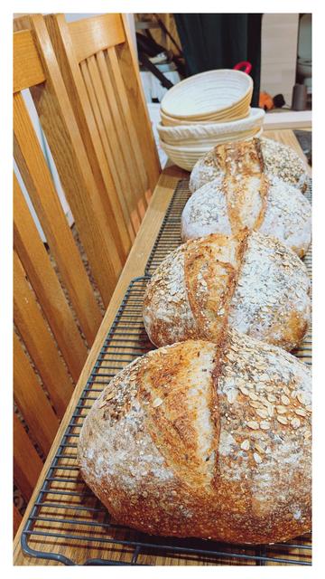 4 loaves of round breads in a row cooling on racks on a table.