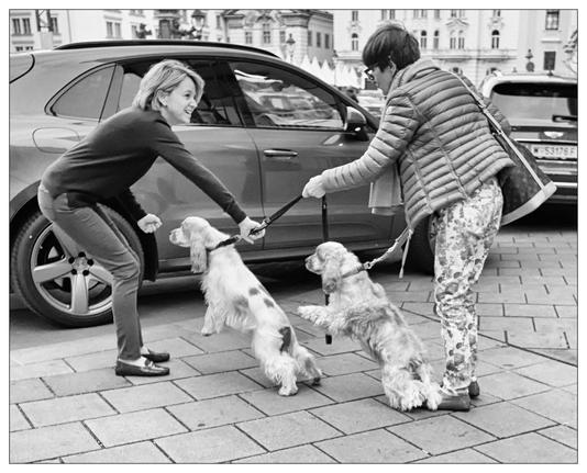 This image shows a street scene featuring two women and two dogs which seem excited or playful.  The dogs are straining at their leashes, front paws off the ground trying to reach the woman on the left.  She has a closed hand that maybe contains dog treats.  There is a car parked in the background, indicating that the scene may be near a parking area or along a city street. The image is in black and white, which adds a timeless quality to the photograph.