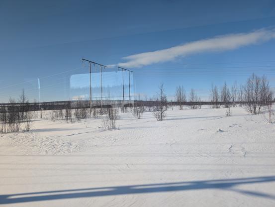 Pylons in the snow.