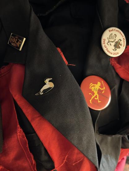 An RSPB pin badge on a red and black rag coat. There’s also a rectanglular EFDSS “FOLK” badge as well as ones for “Red Cuthbert Morris Day of Dance 2024” and “10 Red Cuthberteer est 2012”
