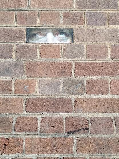 A brick wall with one brick replaced with an image of a white man's eyes, with one eye looking left and the other up.