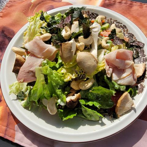 Teller mit grünem Salat, Tomate, Gurke, Pilze, Cashewkerne, Goldnessel, 2 Scheiben Schinken.