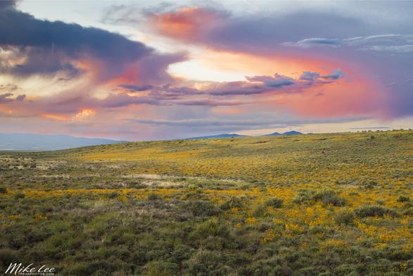 The Smoke Creek Desert in northeastern California and northwestern Nevada can be a barren landscape. However, after a nice wet winter, it can be incredibly beautiful in spring. On this particular mid-May evening, my wife and I had been out for a drive during some thunderstorm activity. Most of the afternoon had been a bust for photos due to grey, gloomy conditions. However, the last hour before dusk was absolutely incredible as the clouds opened up and then colored up as the sun got low on the horizon. I captured this image near the junction of Smoke Creek Road and US 395 just after sunset.