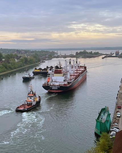 Luftaufnahme: Schlepper begleiten zwei Frachtschiffe