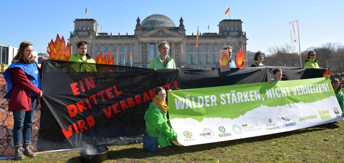 Vertreter*innen von NGOs mit Transparenten auf der Wiese vor dem Reichstag, der im Hintergrund zu sehen ist:

schwarzes Tranparent mit roter Schrift: Ein Drittel wird verbrannt

grün-weißes Transparent: Wälder stärken, nicht verheizen!
