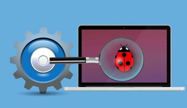 Une loupe est utilisée pour observer, ici une coccinelle sur un écran d'ordinateur.