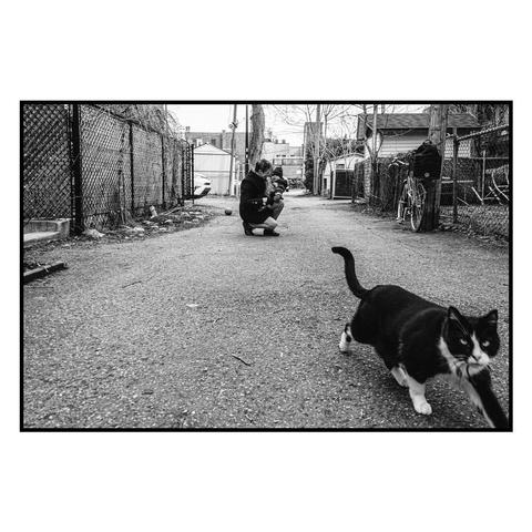 (English follows) Photographie en noir et blanc, format paysage, ratio 3x2. La photographie est prise dans une ruelle de Montréal, à hauteur de sol. La ruelle est centrée dans l'image, les bâtiments de chaque bord constituent la ligne de fuite. Le sol de la ruelle occupe la partie la plus importante de l'image. Au premier plan, s'apprêtant à sortir du cadre par la droite de l'image, un chat s'échappe en regardant l'objectif. À l'arrière-plan, une femme accroupie s'occupe d'un jeune enfant. On ne distingue pas leurs visages. 

Black and white photograph, landscape format, 3x2 ratio. The photograph is taken in a Montreal backalley, at ground level. The alley is centered in the image, with the buildings on either side forming the vanishing line. The floor of the alley occupies the largest part of the image. In the foreground, a cat is about to leave the frame from the right-hand side of the picture, looking up at the lens. In the background, a crouching woman cares for a young child. We can't make out their faces.