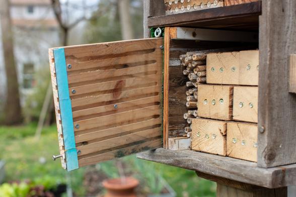 Piece of wood in which tunnels have been carved with a router, then sealed with a piece of plexiglas. This panel gets slide back into a pocket lined with artificial grass so that the plastic doesn't get scratched.