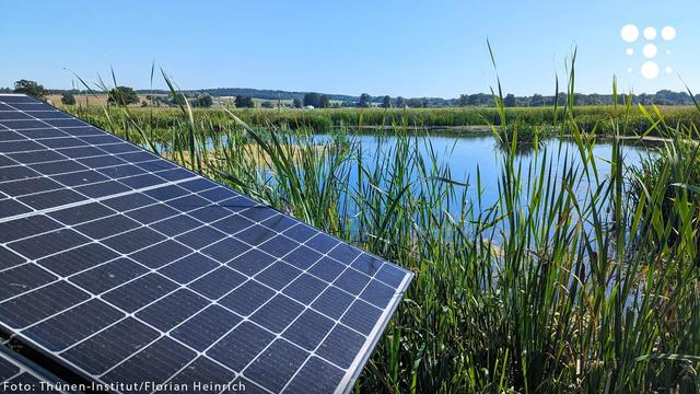 Ein Solarpanel steht im Vordergrund einer Moorlandschaft mit hohem grünen Schilf und einem ruhigen Gewässer. Der Himmel ist klar und blau, im Hintergrund erstrecken sich Felder und bewaldete Hügel. Unten links ist der Fotocredit „Foto: Thünen-Institut/Florian Heinrich“ angegeben.