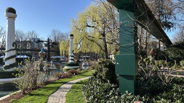 Inside the park