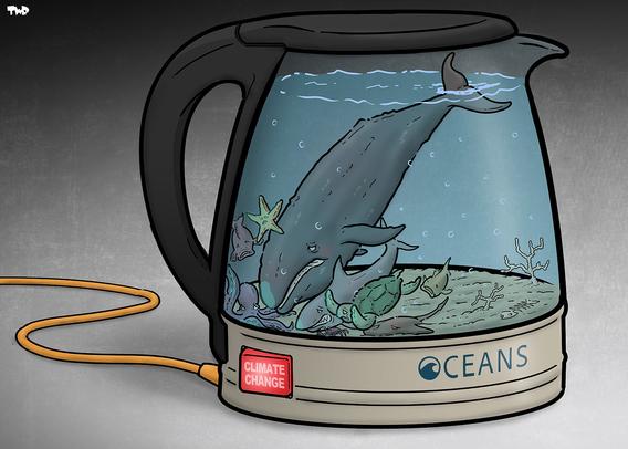 Cartoon: an ocean with a whale and other sea creatures boiling in an electric kettle.
