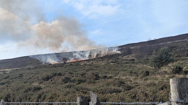 a small-ish fire on a heathery hillside. you can see some flames and a bit of smoke