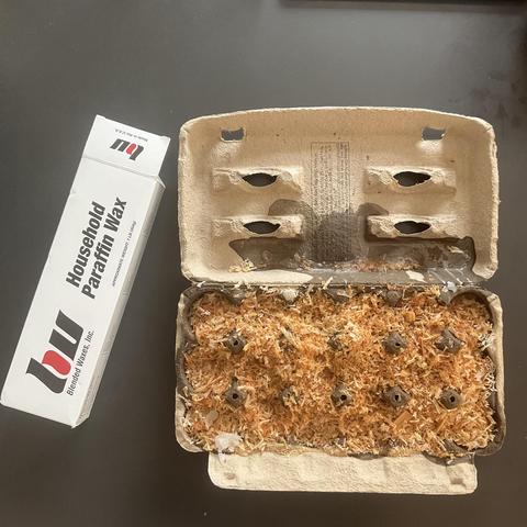 Empty egg carton has been filled with sawdust and molten paraffin wax to make fire starter for camping.
