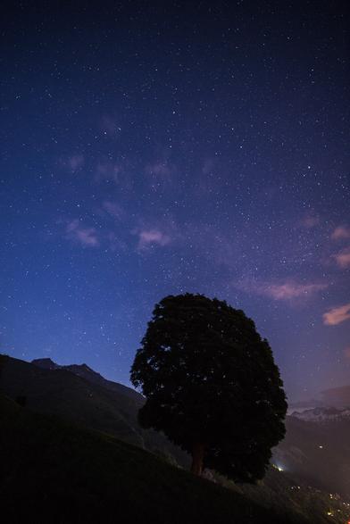 Photo d'un paysage de montagne nocturne, au format portrait.
Au premier plan se dresse un arbre au tronc court et au feuillage de forme ovoïde, sur un terrain pentu.
Derrière l'arbre on distingue des montagnes, sur la droit on remarque des lumières en fond de vallée, et un voile de pollution lumineuse devant les montagnes.
Les deux tiers supérieurs de l'image sont occupés par un ciel bleuté très étoilé, où se baladent quelques petits nuages roses au-dessus de l'arbre.
-
Portrait of a mountain landscape at night.
In the foreground, a tree with a short trunk and ovoid foliage stands on a slope.
Behind the tree we can make out mountains, on the right we see lights in the valley floor, and a veil of light pollution in front of the mountains.
The upper two-thirds of the image are taken up by a starry blue sky, with a few small pink clouds hovering above the tree.