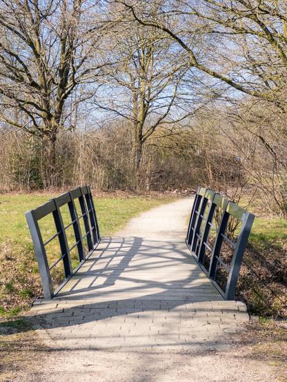 A small footbridge over a path surrounded by leafless trees in a park setting.