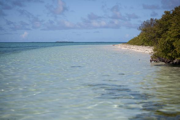A serene coastal scene featuring clear, calm water leading to a sandy beach lined with greenery, and distant islands visible under a blue sky with scattered clouds.