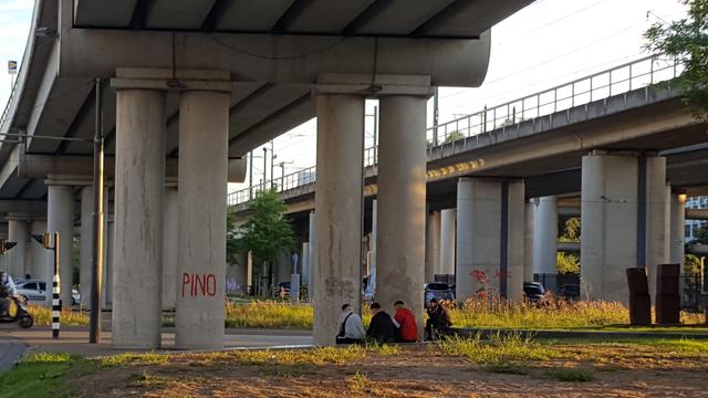 Four young men of Arabic decent in, seen from the back from a distance, sitting on the edge of a giant planter with grass and weeds under an overpass with several meter high concrete pillars, a second overpass running parallel to the right in the background.