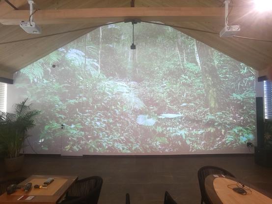 Big indoor wall with green forest projection on it.