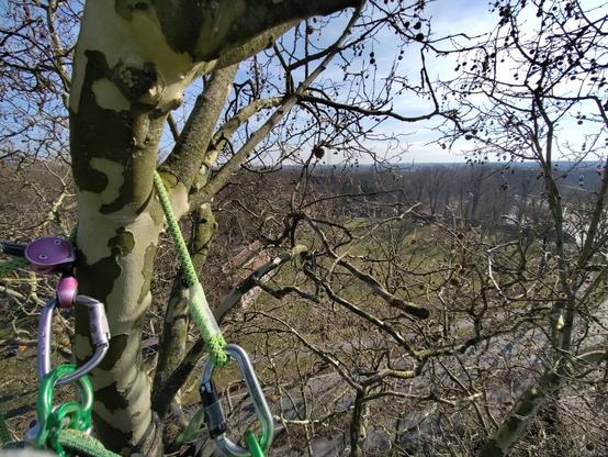 Das Bild zeigt eine Baumkletterausrüstung, die an einem Baum mit einem charakteristischen Muster an der Rinde befestigt ist. Der Baum hat viele Äste ohne Blätter, was darauf hindeutet, dass es entweder Herbst oder Winter ist. An der Baumrinde sind verschiedene Klettergeräte sichtbar, darunter ein grünes Seil, ein pinkfarbener Karabiner und ein silberner Karabiner. Im Hintergrund ist eine Landschaft mit Bäumen und einem offenen Feld zu sehen, das von einem bewaldeten Hügel begrenzt wird. Der Himmel ist klar und blau mit einigen Wolken. Die Baumkletterausrüstung deutet darauf hin, dass jemand die Kletterausrüstung verwendet hat oder verwendet, um den Baum zu erklimmen.

Bereitgestellt von @altbot, privat und lokal generiert mit Ovis2-8B

🌱 Energieverbrauch: 0.210 Wh