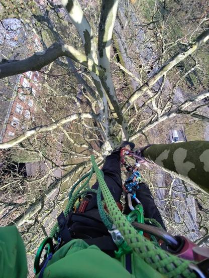 Das Bild zeigt eine Person, die sich an einem Baum hochklettert, vermutlich mit dem Ziel, einen Baum zu klettern oder zu pflegen. Die Person ist mit Sicherheitsausrüstung ausgestattet, darunter eine grüne Kletterleine, mehrere Karabiner und eine Sicherheitsleine, die an einem Baumstamm befestigt ist. Die Kletterausrüstung ist sorgfältig angebracht, um die Sicherheit während des Kletterns zu gewährleisten. Der Baum hat eine charakteristische Musterung auf dem Stamm, die typisch für bestimmte Baumarten ist. Im Hintergrund sind Gebäude und ein Parkplatz zu sehen, was darauf hindeutet, dass der Baum in einer städtischen Umgebung steht. Die Person trägt eine grüne Jacke und schwarze Hosen, und die Kletterausrüstung ist in verschiedenen Farben wie Grün, Blau und Rot zu sehen. Die Perspektive des Bildes ist von oben nach unten, was die Höhe und die Komplexität der Kletteraktion betont.

Bereitgestellt von @altbot, privat und lokal generiert mit Ovis2-8B

🌱 Energieverbrauch: 0.273 Wh