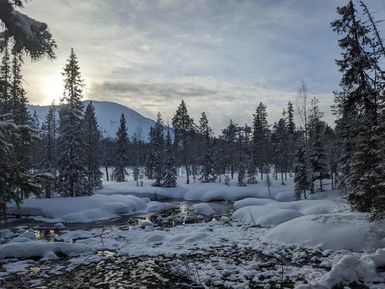 Snow-covered landscape with pine trees scattered across the foreground. A  small body of water is trying to reflect some left over light of the setting sun, which is disappearing behind a mountain in the background