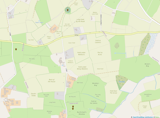 OpenStreetMap Screenshot with field names in Ballyreddy, Co. Kilkenny