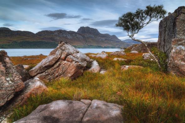 A sweeping view from a grassy shoreline dotted with large, weathered rocks and a lone, wind-bent tree in the foreground, leading across the still waters of Loch Maree towards the imposing silhouette of Slioch, its rugged slopes rising against a muted sky, with the surrounding landscape tinged with warm, rusty hues that reflect the raw beauty of the Scottish Highlands.