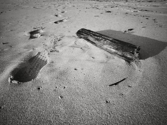 The image shows a sandy beach with footprints leading away and a piece of driftwood lying on the sand. The scene appears to be in black and white, giving it a classic and timeless feel.