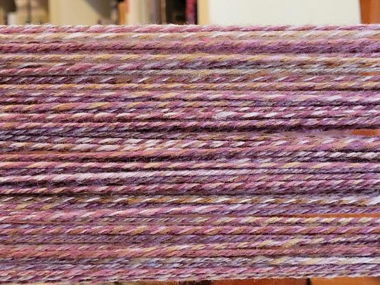 Close up of some three ply wool yarn inshades of  purple, lavender, brown, white.  Colorway is called "bramble" by nest fiber.