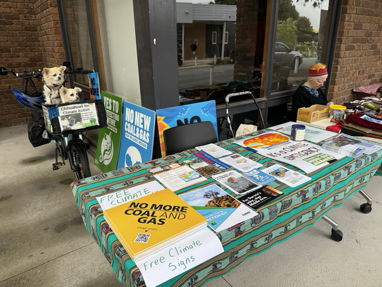 Two chihuahuas in a bike basket behind a table with climate action free literature and signs
