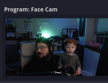 A screenshot of my webcam preview, showing my son, not quite 2, hanging out on stream looking confused.