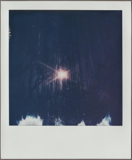 Polaroid, mostly very dark blue, with a flash of orange in the middle illuminating some hanging vertical elements and a few tree branches.