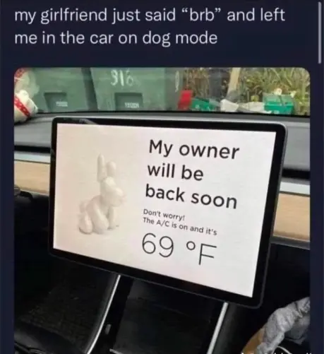 my girlfriend just said "brb" and left me in the car on dog mode

below is a picture of a car tablet which says: "My owner will be back soon. Don't worry! The A/C is on and it's 69°F"