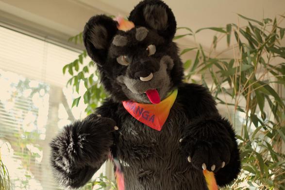 Photo of me in black jaguar fursuit wearing a rainbow-colored bandana with my name “Kianga” embroidered in large purple letters. I’m pointing to it with my right paw while looking at the camera. I’m standing in front of a large bamboo plant in our sunlit living room.