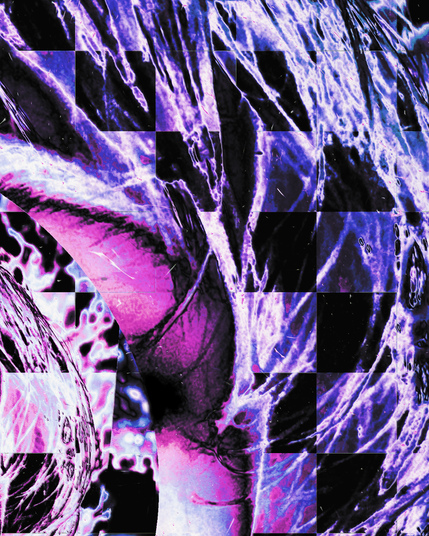 Zoom of the first picture