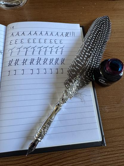 Notebook, quill, and ink pot on wooden table. Cursive capitalized letters A, E, F, H, I.