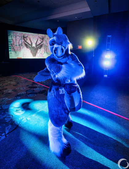 This is a photograph of a blue pegasus fursuiter on the dance floor at Anthro New England 2025, standing confidently with crossed arms and looking even more blue than usual because of the ambient lighting.