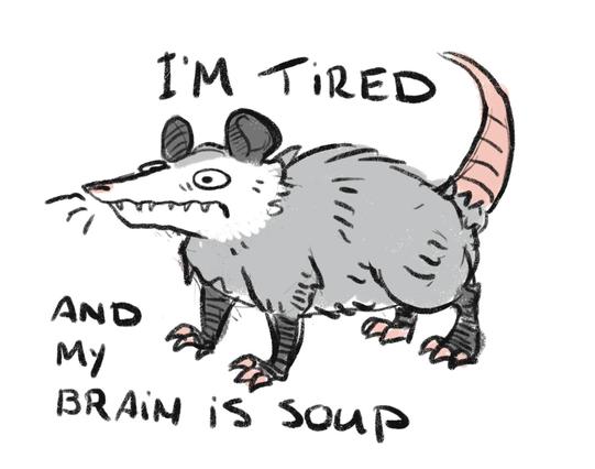 A drawing of a haunted looking possum alongside the text I’m tired and my brain is soup